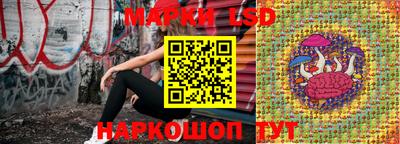дмт Будённовск