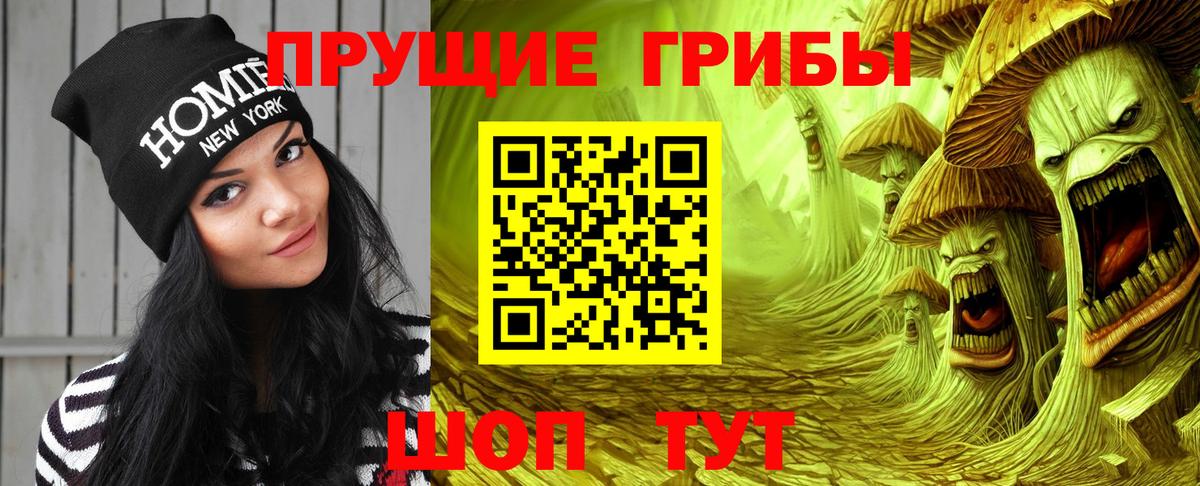 Ржев  Галлюциногенные грибы Cubensis  Вход с VPN 