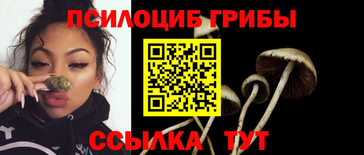 Псилоцибиновые грибы MAGIC MUSHROOMS Ржев